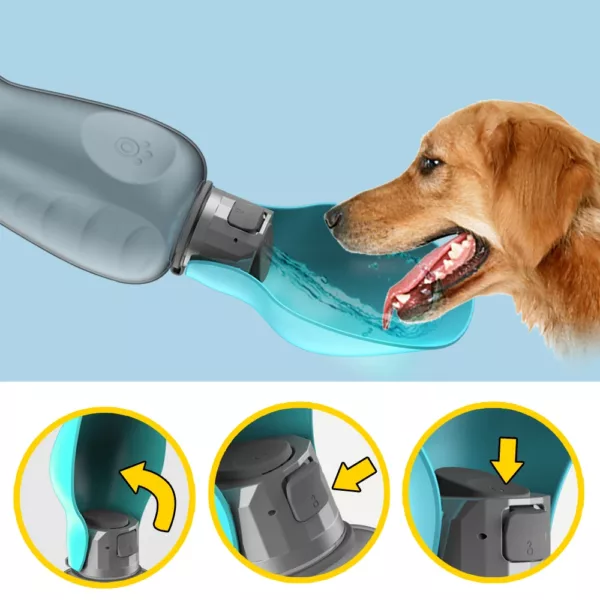 Gourde Moderne pour Chiens et Chats 800 ml – Image 2